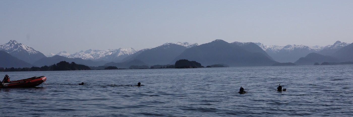 Divers in Sitka Sound Alaska