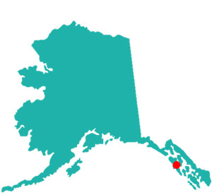 State of Alaska image