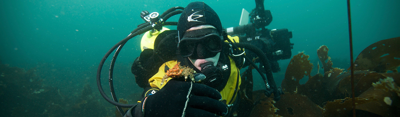 Cold-water Diver in Alaska