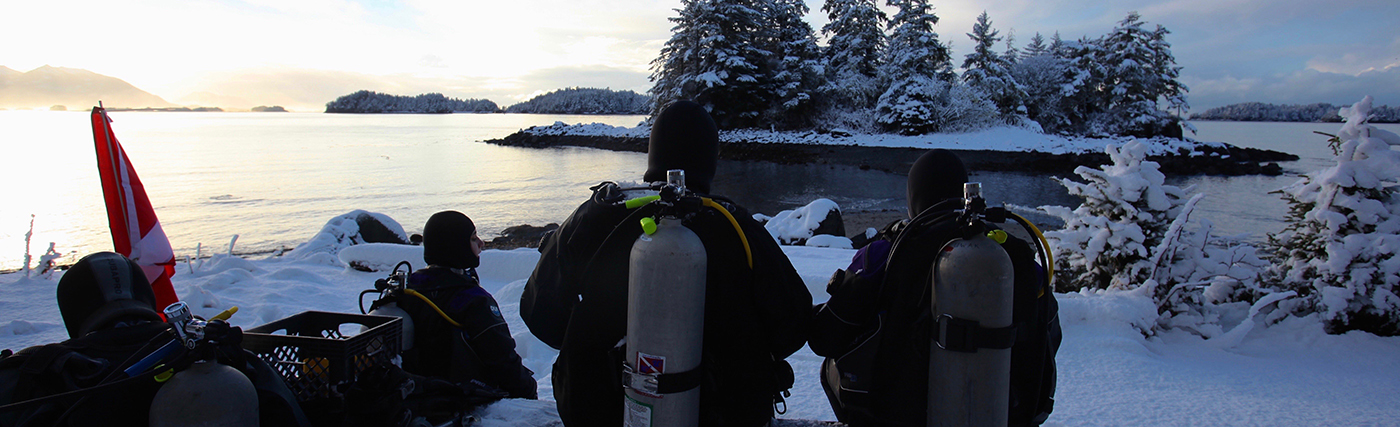 Divers watch Alaskan sunset